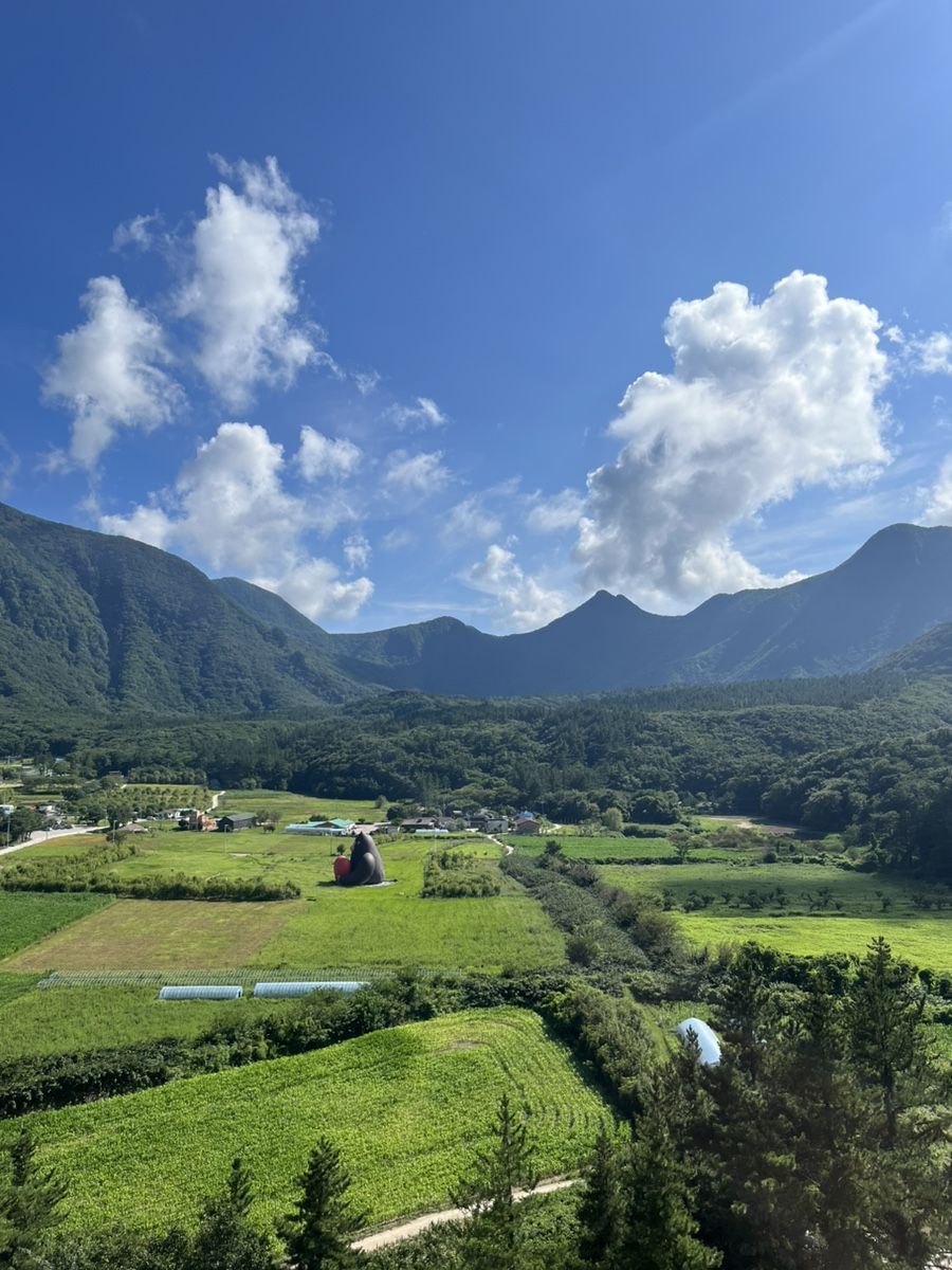 점점 울릉도 여행 가는 사람 많아지는 거 같아서 써보는 울릉도 여행 후기 | 인스티즈
